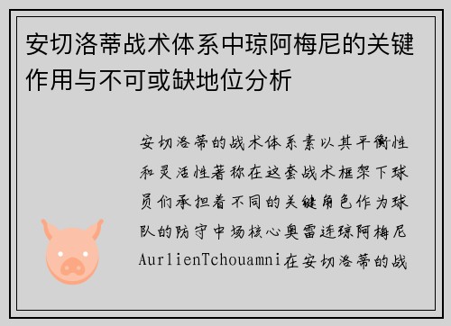 安切洛蒂战术体系中琼阿梅尼的关键作用与不可或缺地位分析