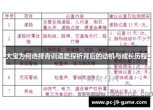 大宝为何选择青训道路探析背后的动机与成长历程