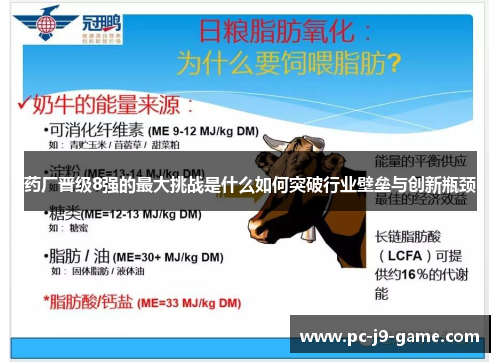 药厂晋级8强的最大挑战是什么如何突破行业壁垒与创新瓶颈